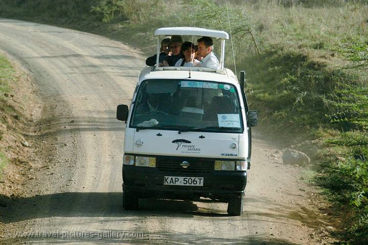 tourists on a game drive