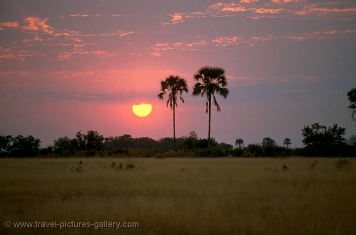 Okavango sunset