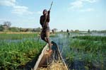 a Mokoro poler in the Okavango Delta, Botswana