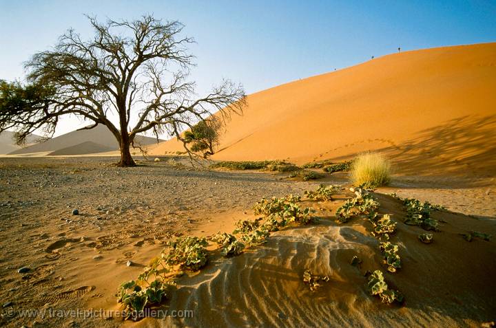 Sossusvlei, Namibia