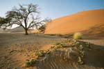 Sossusvlei, Namibia