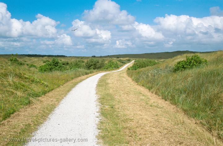 dunes at Vlieland, one of the Wadden (Islands), Friesland Province