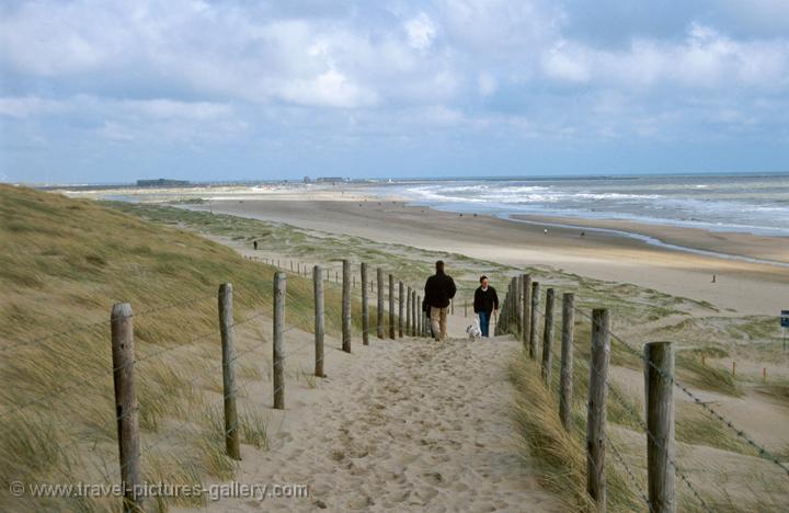 the dunes near Zandvoort, Noord Holland