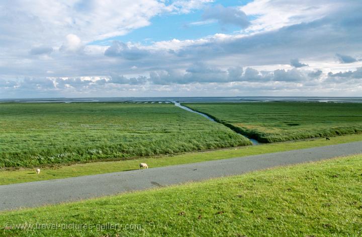 the Wadden, Friesland