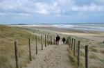 the dunes near Zandvoort, Noord Holland