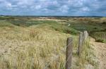 Kennemerduinen, Bloemendaal, Noord Holland