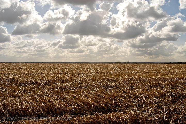 autumn field, South Limburg