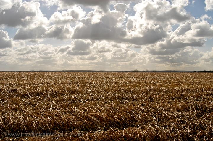 autumn field, South Limburg