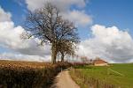 a country road, Valkenburg, Zuid Limburg (South Limburg)
