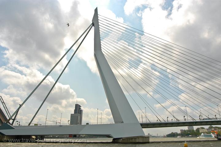 the Willems Bridge, Rotterdam
