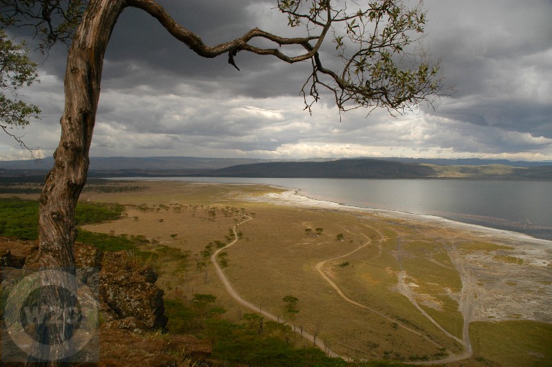 Lake Nakuru from Baboon Cliff