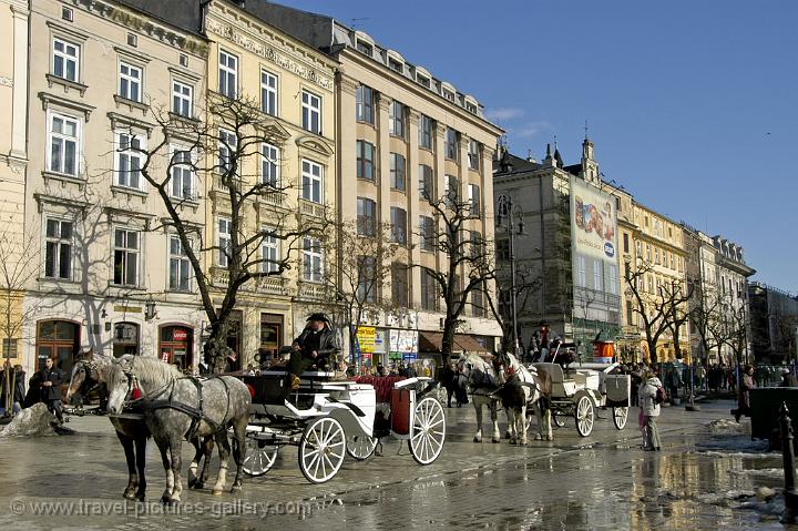 horse carridges on the Rynek Glowny, Central Square