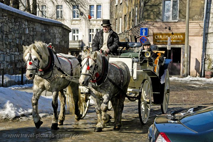 horse and carriage in Kazimierz