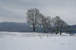 winter landscape, Bieszczady National Park