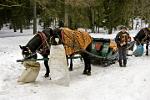 horse sleigh, Morskie Oko