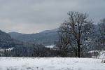 winter landscape, Bieszczady National Park