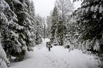 trekking in Bieszczady National Park