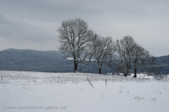 winter landscape, Bieszczady National Park