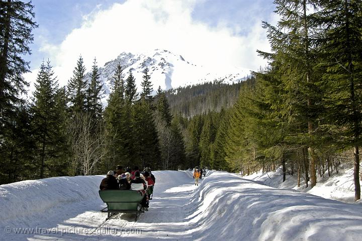 riding a horse sleigh, Morskie Oko