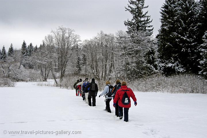 trekking in Bieszczady National Park