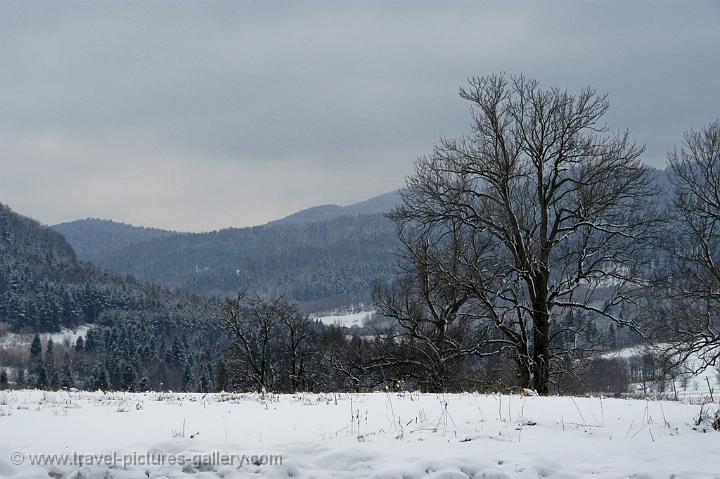 winter landscape, Bieszczady National Park
