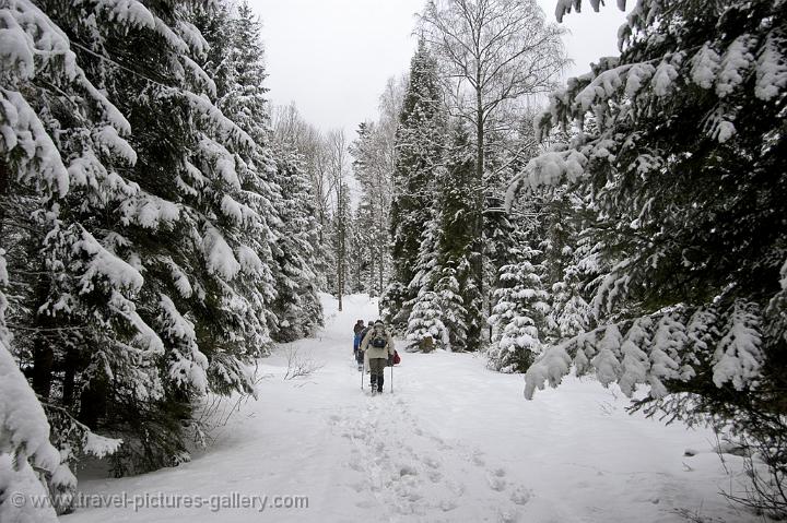 trekking in Bieszczady National Park