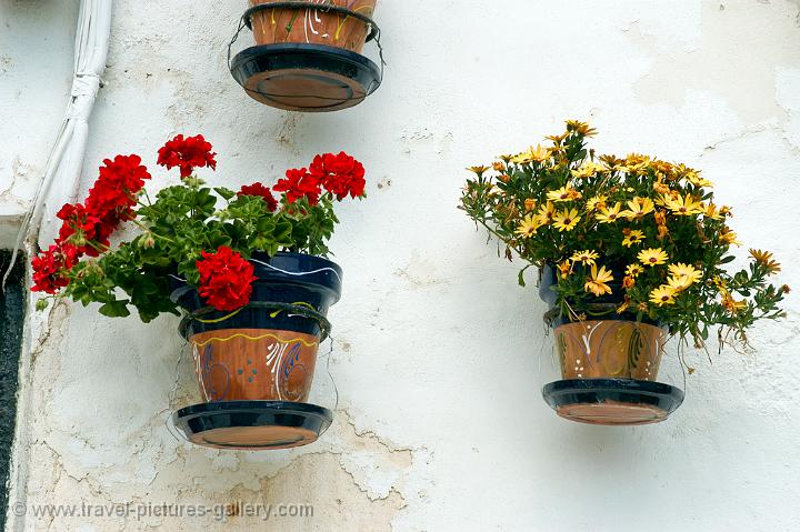 pot plants on a wall, Mojacar