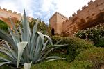 the Alcazaba was founded in the 10th century