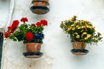 pot plants on a wall, Mojacar