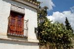 balcony and cactus in the Albayzin