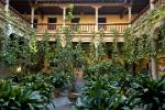 shady courtyard with abundant plants