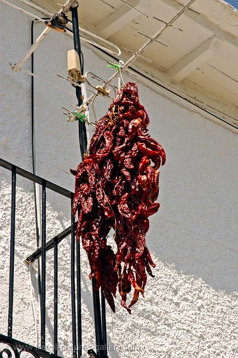 drying chili peppers