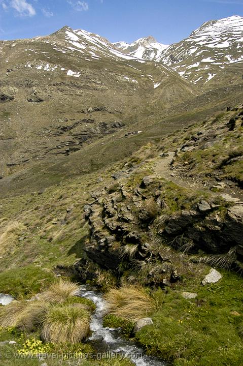 mountain stream and snowy peaks