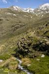 mountain stream and snowy peaks