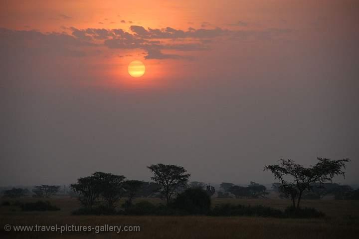 sunrise over the plains