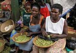 women at Nakasero market, Kampala's main bazar