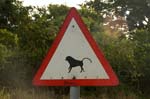 Baboons crossing traffic sign